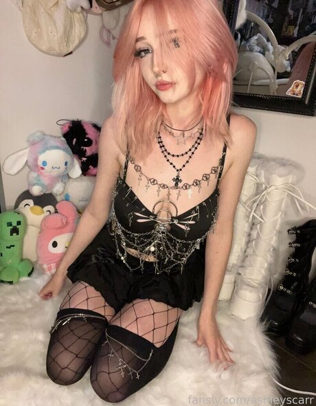 M.vlntn__