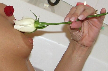 Southern-Charms Reese