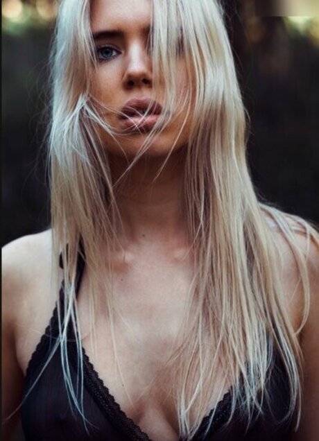 Hollaura