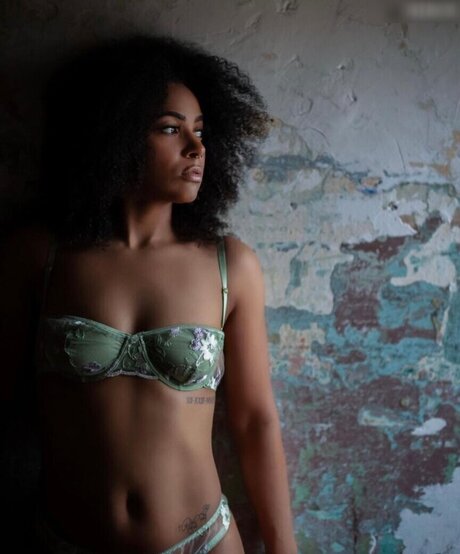 Graefiinmelanin