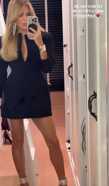 Sylvie Meis