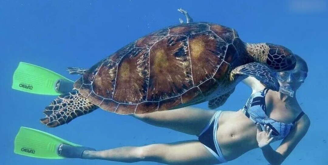 Photo nue de fuite OnlyFans de Prominent #1206