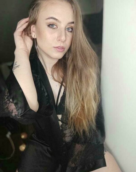 Hollyclue
