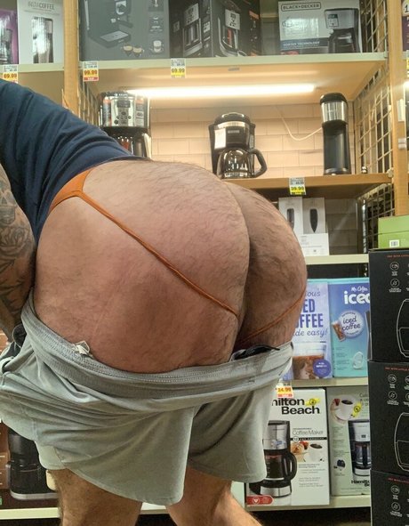 Briefsbull