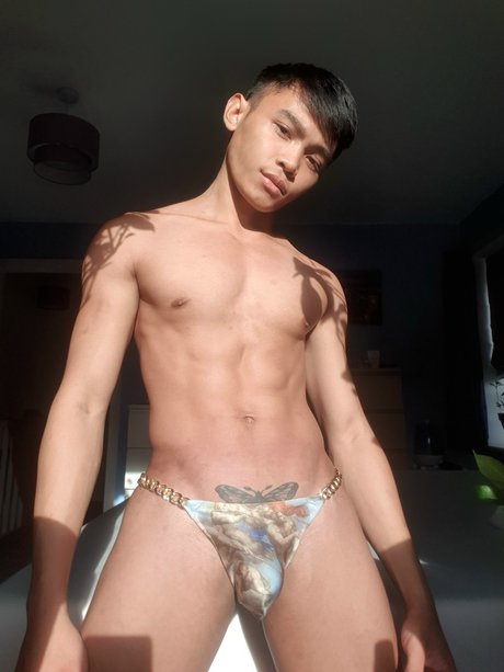 Twinkbotsev