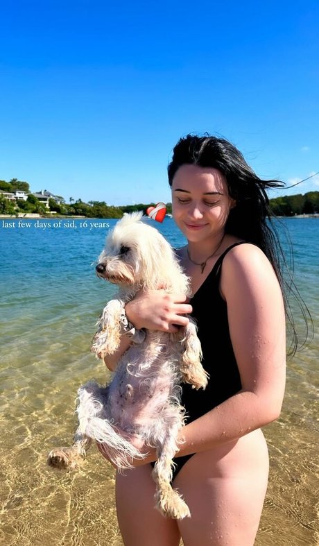 Livbev