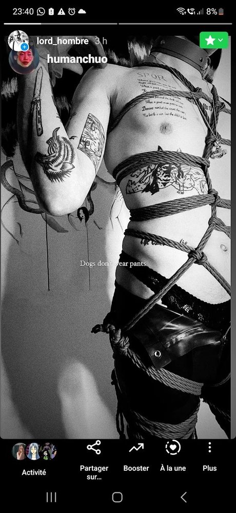 Photo nue de fuite OnlyFans de Straighttobottom