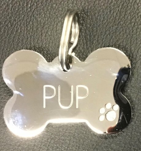 Photo nue de fuite OnlyFans de Pup 