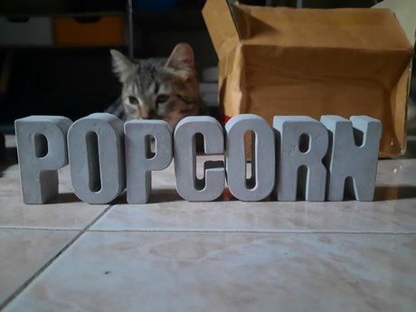 Photo nue de fuite OnlyFans de Popcorn 