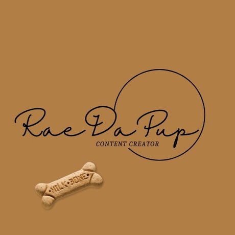 Raedapup