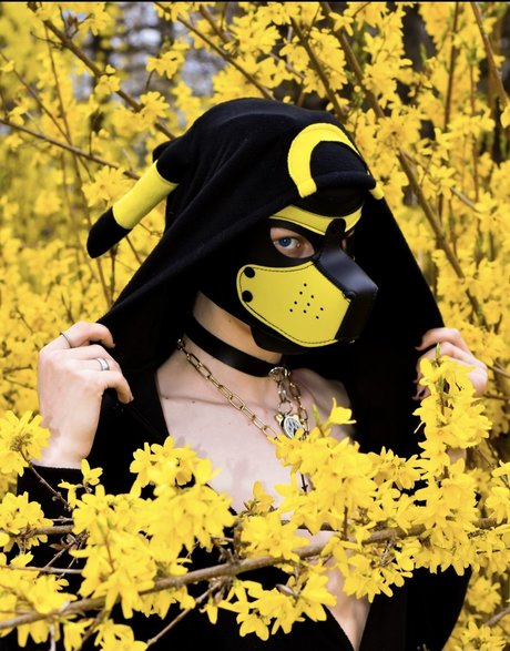 Photo nue de fuite OnlyFans de Pup Devil