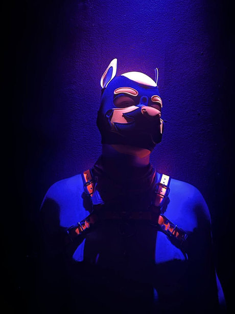 Photo nue de fuite OnlyFans de Quentin The Pup