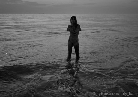 Poly_luna