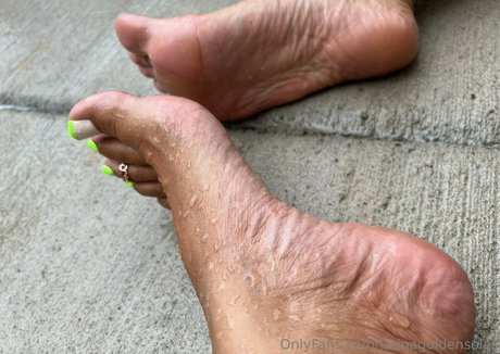 Latinagoldensoles