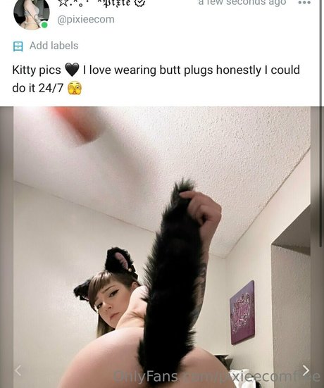Pixieecomfree