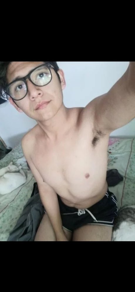 Northon Chvez
