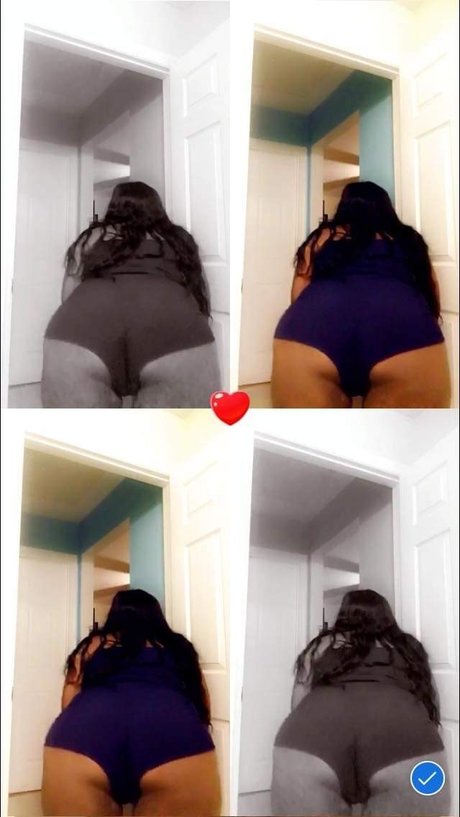 Abri
