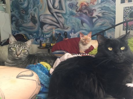 Photo nue de fuite OnlyFans de Jiggy Cat Tribe Asmr