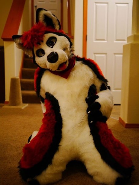 Cenny After Bark