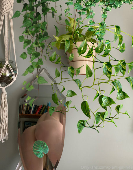 Photo nue de fuite OnlyFans de Plantgalfree