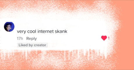 Photo nue de fuite OnlyFans de Internet Skank