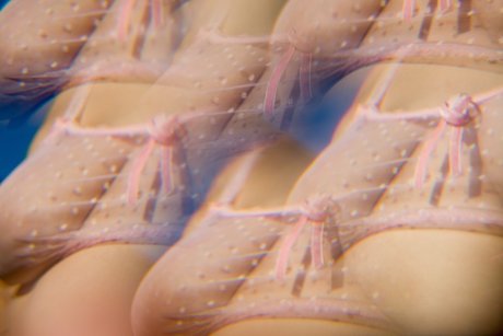 Photo nue de fuite OnlyFans de Dafne Fairy