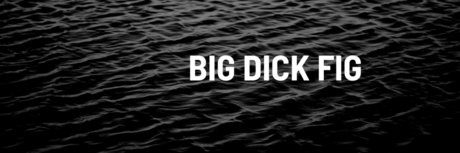 Photo nue de fuite OnlyFans de Bigdickfig
