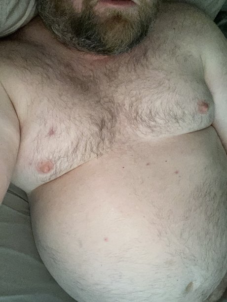 Curiousbear73