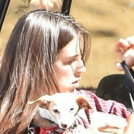 Scout Larue Willis