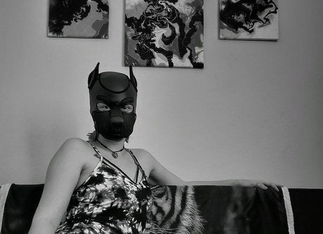 Photo nue de fuite OnlyFans de Onestretchypup
