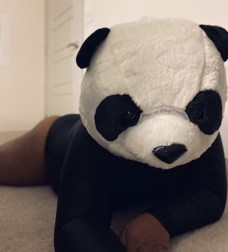 Photo nue de fuite OnlyFans de Playbear