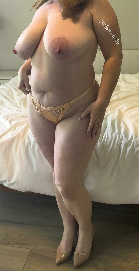 The Perfect Wife