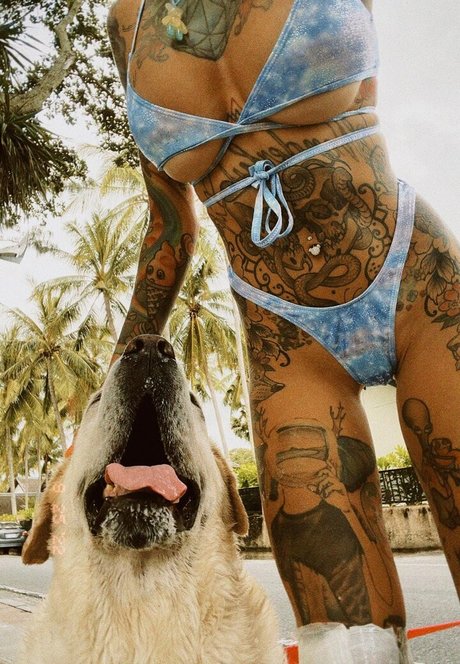 Bantikboy