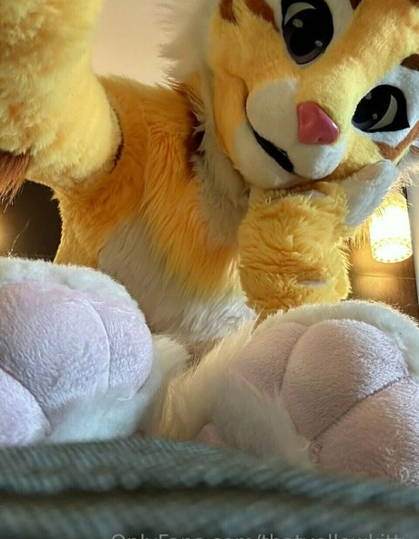 Photo nue de fuite OnlyFans de Thatyellowkitty