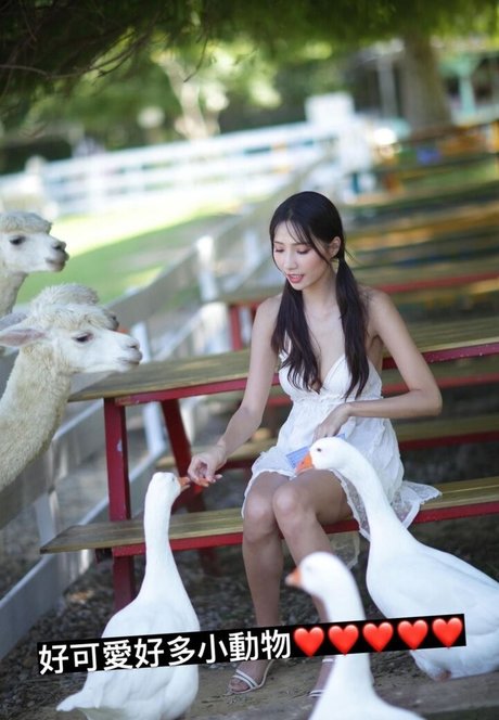 Anita Feifei
