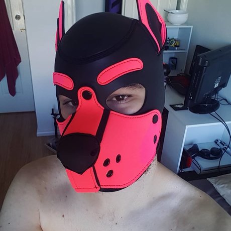 Photo nue de fuite OnlyFans de Quartz The Pup