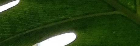 Photo nue de fuite OnlyFans de Quantumorgasms