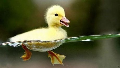 Photo nue de fuite OnlyFans de Quacks