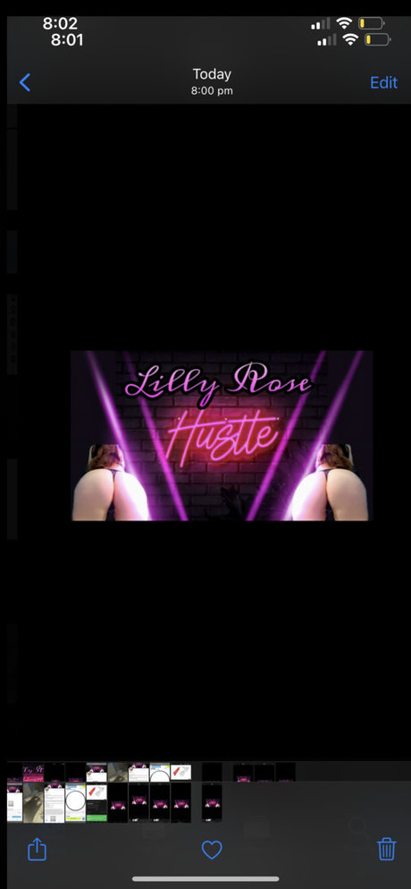 Lilly Rose