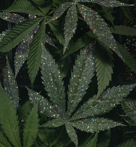 Photo nue de fuite OnlyFans de Sexy Sativa