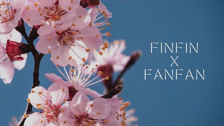 Photo nue de fuite OnlyFans de Finfinxfanfan