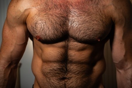 Sexy Fit Bear 