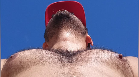Montanharj29