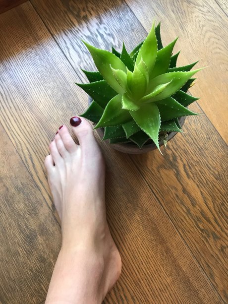 Photo nue de fuite OnlyFans de Howtosqurt