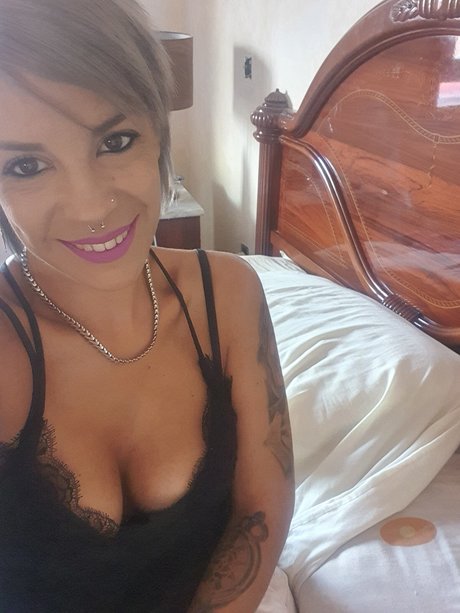 Vane242