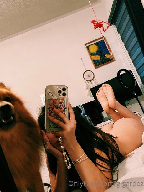 Gabygardez