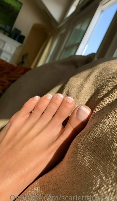 Shakirabonita