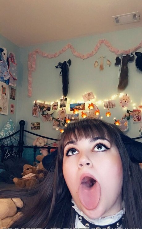 Tasteofbunny