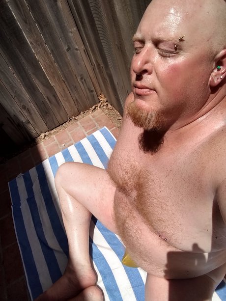 Gingerbear