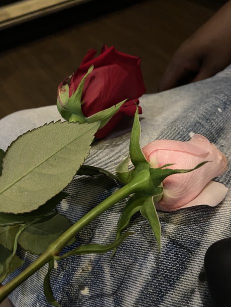 Photo nue de fuite OnlyFans de Blueyedcrush